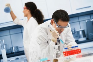 Working in the laboratory